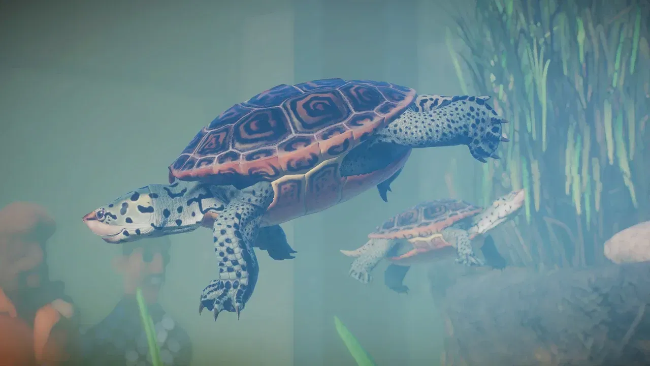 Screenshot 13